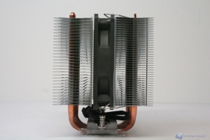 00068 COOLINK_CORATOR_DS